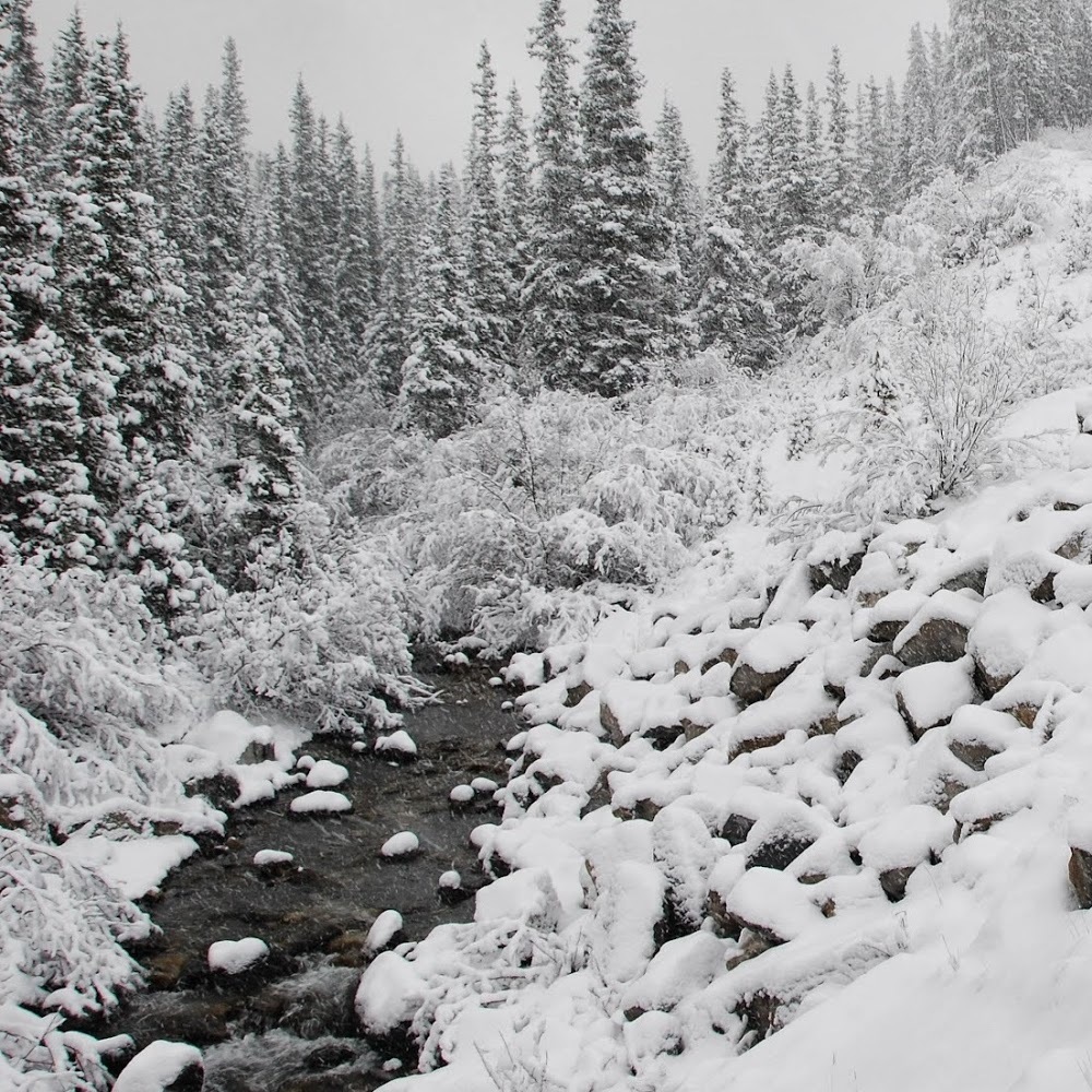 Meet your Posher, Jerri